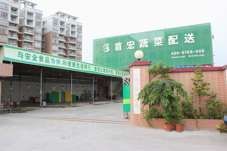 梅州蔬菜配送